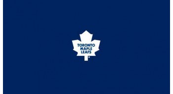Tapis de table de billard - Toronto 4½' x 9'